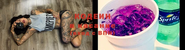 ПСИЛОЦИБИНОВЫЕ ГРИБЫ Вязьма