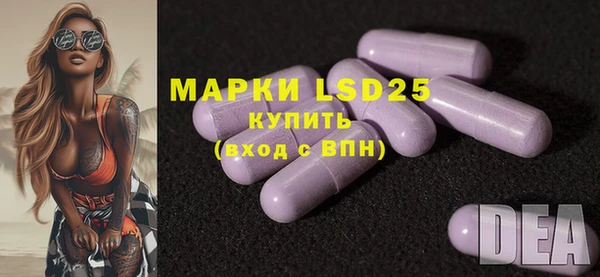 прущий лед Вяземский