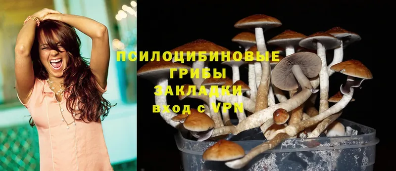 маркетплейс официальный сайт  Наволоки  Псилоцибиновые грибы Psilocybine cubensis 